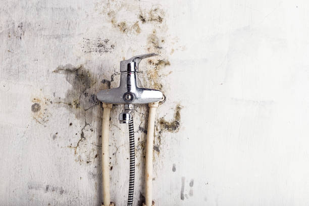 Fox Lake, IL Mold Remediation Company