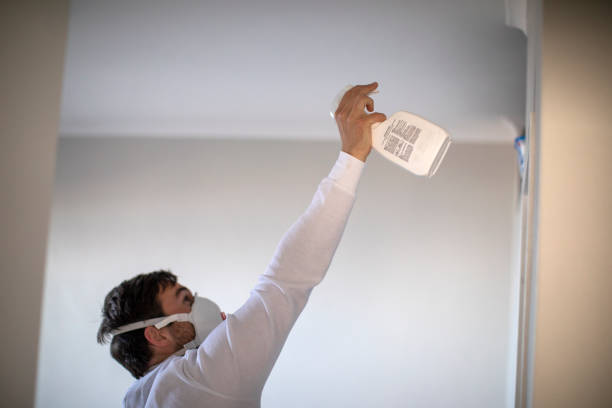 Best Bathroom Mold Remediation in Fox Lake, IL